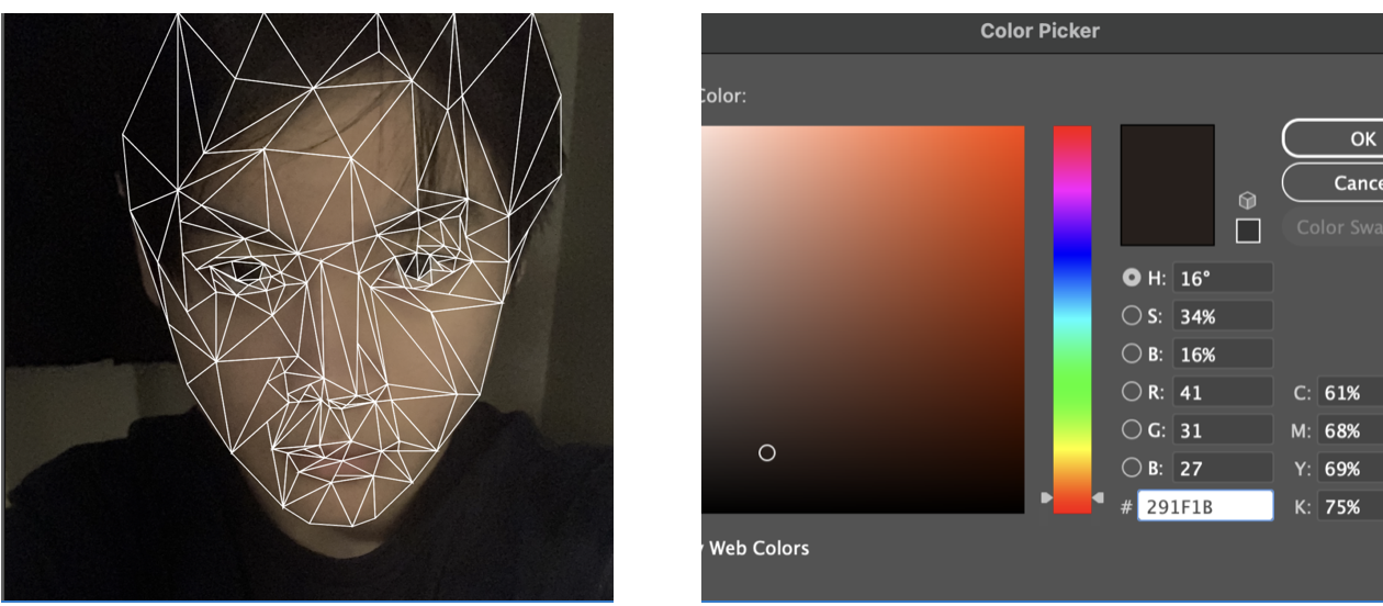 I decided to use Adobe Illustrator to draw my face first and then move the coordinates over to P5.Js so that I have full control over wha...
